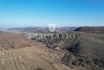 We are selling several building plots in the vicinity of Buje, Istria, Croatia