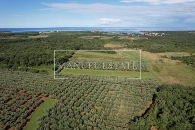 Agricultural land with water on the plot, 5,100 m2, Novigrad